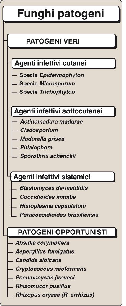 La patogenicità deriva dall interazione tra la virulenza dell agente infettante e la difesa immunitaria dell ospite.