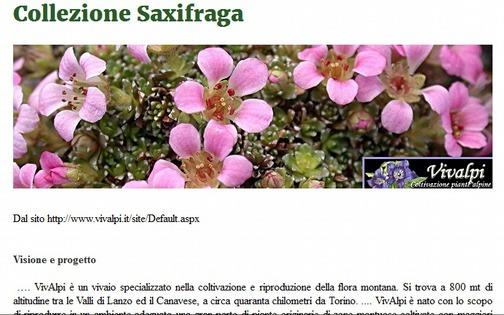 Esempio di collezione sistematica censita: Saxifraga La Collezione presso un privato, con una visione globale di promozione di attività