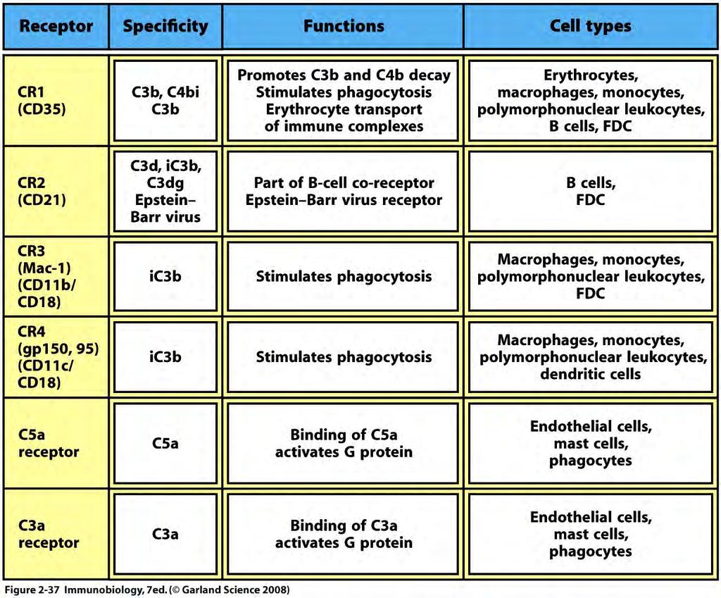 Complement receptors