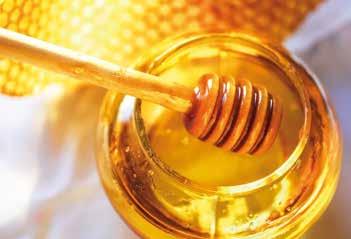 Tiglio Questo miele particolare, dall aroma balsamico, viene prodotto nei territori della Valsesia e della Val d Ossola.