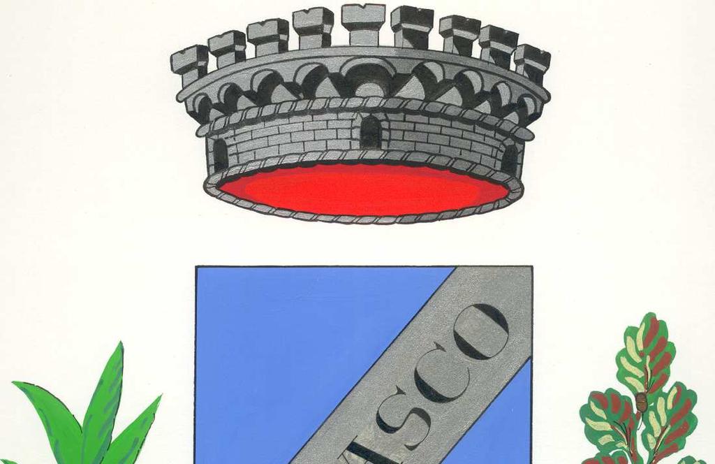 COMUNE DI CARASCO CITTA METROPOLITANA DI GENOVA Via IV Novembre, 28 C.A.P. 16042 Tel. 0185.350793 C.F. 00432840106 Fax 0185.351023 P.I. 00168500999 Sito Internet: www.comune.carasco.ge.