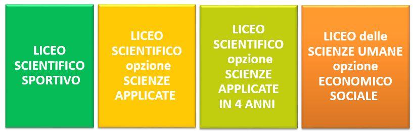 LICEI I percorsi liceali forniscono allo studente gli STRUMENTI CULTURALI E METODOLOGICI per una comprensione approfondita della realtà, affinché egli si ponga, con atteggiamento razionale,