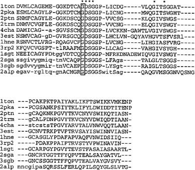 Test case OF2 N terminale della Proteasi S2 Il box di Glicine