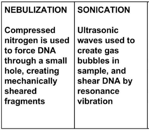 454 Genome Sequencing System (Roche) Emulsion PCR (empcr) Ø Variazione della PCR usata nelle tecnologie