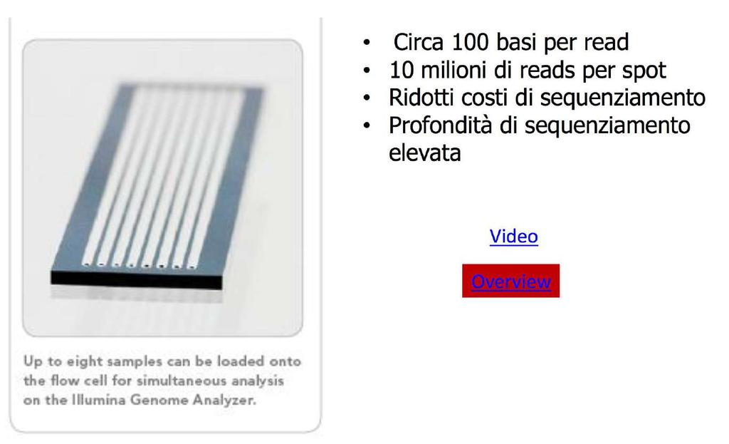 Solexa (2007) Sequencing on-a-chip In sintesi: Ø Breaking up DNA Ø Adding ADAPTORS, but in this case