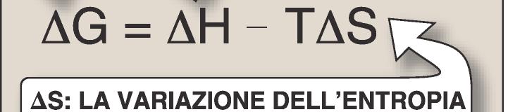 Perché i processi chimici e fisici hanno una