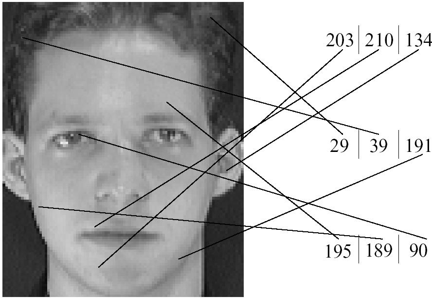 Codifica delle immagini L immagine è suddivisa in punti (pixel) e ciascun punto è codificato con un numero che corrisponde A un particolare colore A un particolare