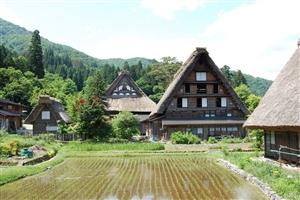 maggio ed ottobre, il quartiere Kami Sannomachi, cuore della città antica, ove si aprono le case costruite in stile architettonico del periodo Edo (1600/1868), ricca di negozi e botteghe.