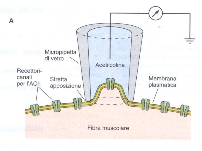 Correnti di singolo canale Attraverso la tecnica