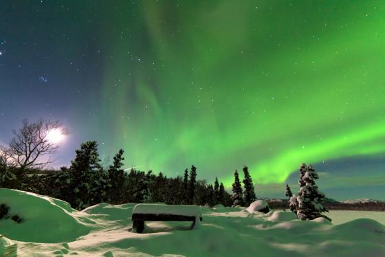 Programmi con Volo diretti ITC dall Italia su ROVANIEMI e proseguimento per SAARISELKA, località magica nel cuore della Lapponia, a circa 300km al di sopra del Circolo polare artico.