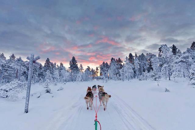 ESCURSIONI FACOLTATIVE A SAARISELKA LAPPONIA FINLANDESE 1.SAFARI IN MOTOSLITTA Durante questo safari, si guiderá nell area di Saariselkä per ammirare gli scenari mozzafiato.