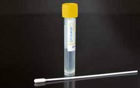 TIP/PUNTALE SHAFT/ASTA 2490/SG Foam / Spugna Plastic / Plastica 2490/SG/D Polyester / Poliestere Plastic / Plastica Swabs with liquid neutralizing solution conceived for the microbiological analysis
