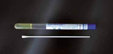 Dispositivi in peel-pack singolo, sterili (SAL 10-6 ) Swabs with test tube containing LD Agar (ylose lysine deoxycholate agar), selective growth medium used for the isolation of Salmonella, Shigella