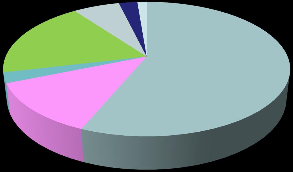 Modalità dimissione a domicilio ADP+ADInf 6% ADP 3% AIO 1% ADINF 19% ADICP 3% SENZA PIANO ATTIVO 56% ADI 12%