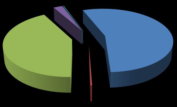 Figura 1: Distribuzione stock immobiliare al 31.12.