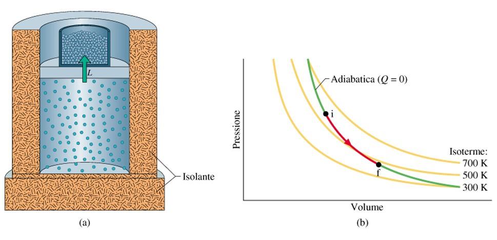 Adiabatiche (gas ideali) Trasformazioni reversibili pv γ = cost TV ( γ 1) = cost L espansione libera è un processo adiabatico irreversibile.