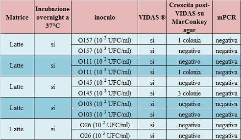 Messa a punto del protocollo Inoculo di latte con quantità note di E. coli appartenenti a cinque sierogruppi VTEC (O157, O111, O145, O103, O26). Immuno-concentrazione dei campioni tramite VIDAS.