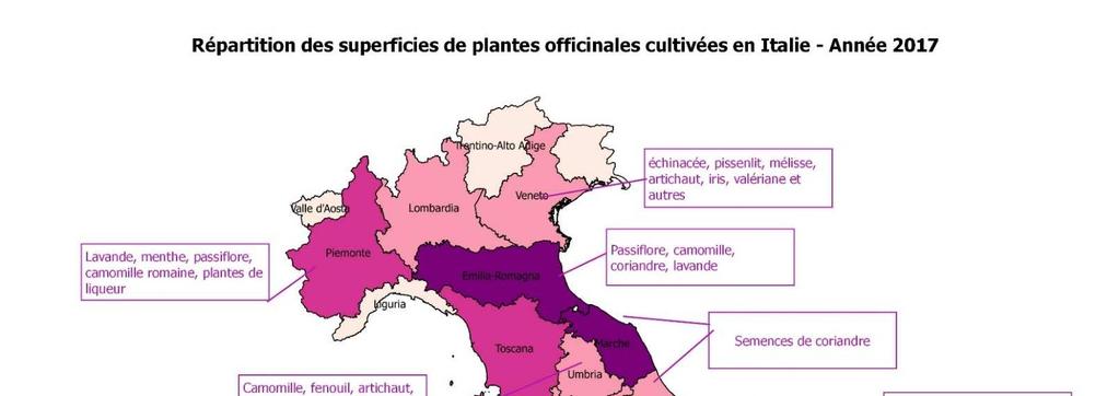 Importanza della filiera PPAM nel territorio di Alcotra ancia : 2 364 ha alia : 930 ha? regione di produzione di piante aromatiche e medicinali, dopo Emilia-Romagna e Marche.