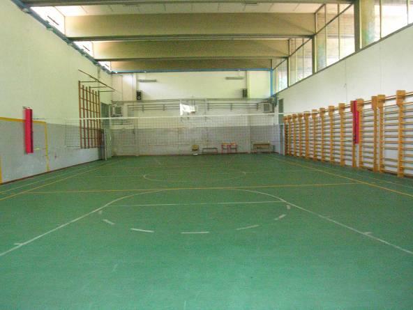 6,2 Sport praticati pallavolo, ginnastica, attività