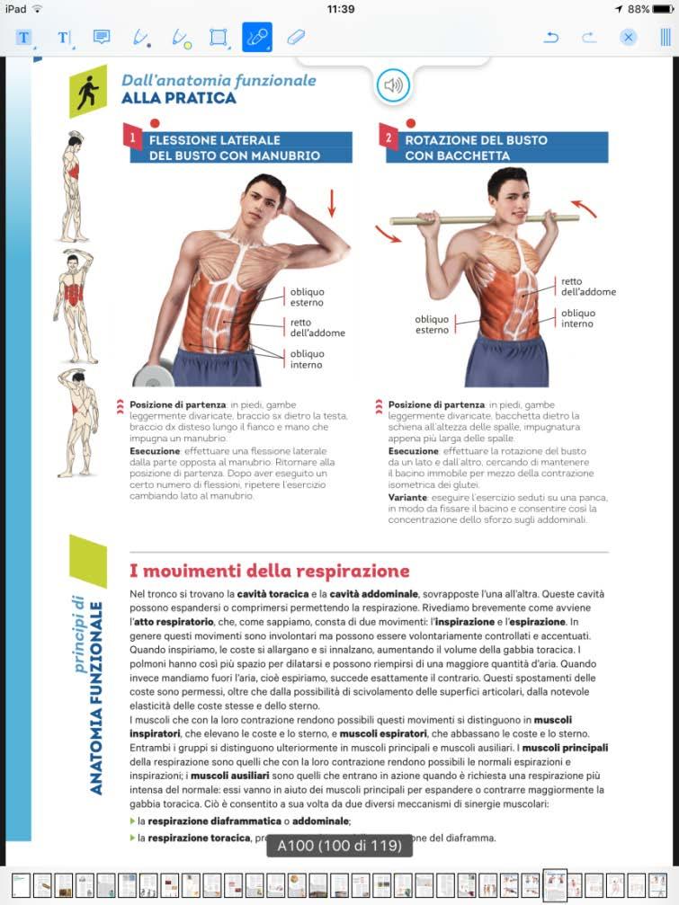 La barra degli strumenti 1. Evidenziatore 2.