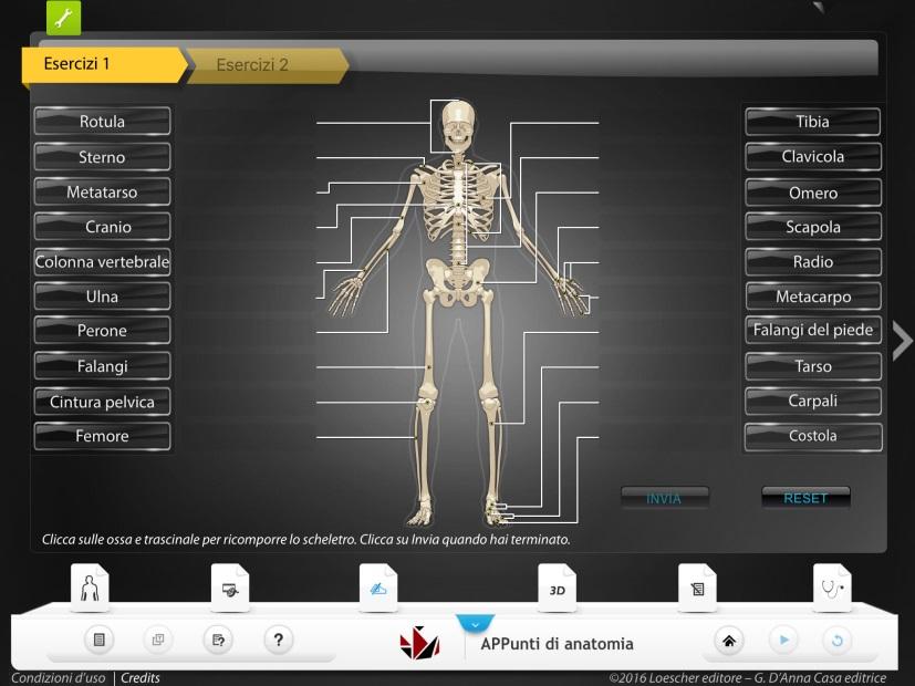 Interazione con gli organi del corpo umano in 3d per