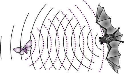 Può succedere che un onda venga sia rifratta che riflessa (ad esempio, l onda che si propaga su una corda che cambia improvvisamente densità lineare): in tal caso, l energia