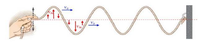 Classificazione delle onde Onde Trasversali lo spostamento delle singole particelle avviene in direzione perpendicolare a quella di propagazione dell onda Le onde radio, le onde luminose