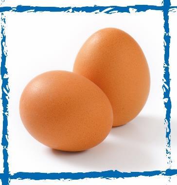 Innovazione e Know-how Miglioramento dei prodotti di origine animale Uova arricchite alimentazione modifica il valore nutrizionale delle uova è possibile aumentare sino a 4-5 volte il tenore in acidi