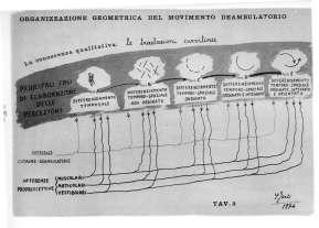 prossemica costante processo di rispecchiamento (mirroring) 5.