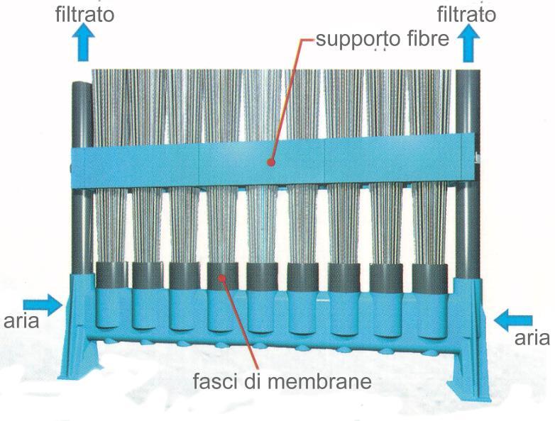 Membrane