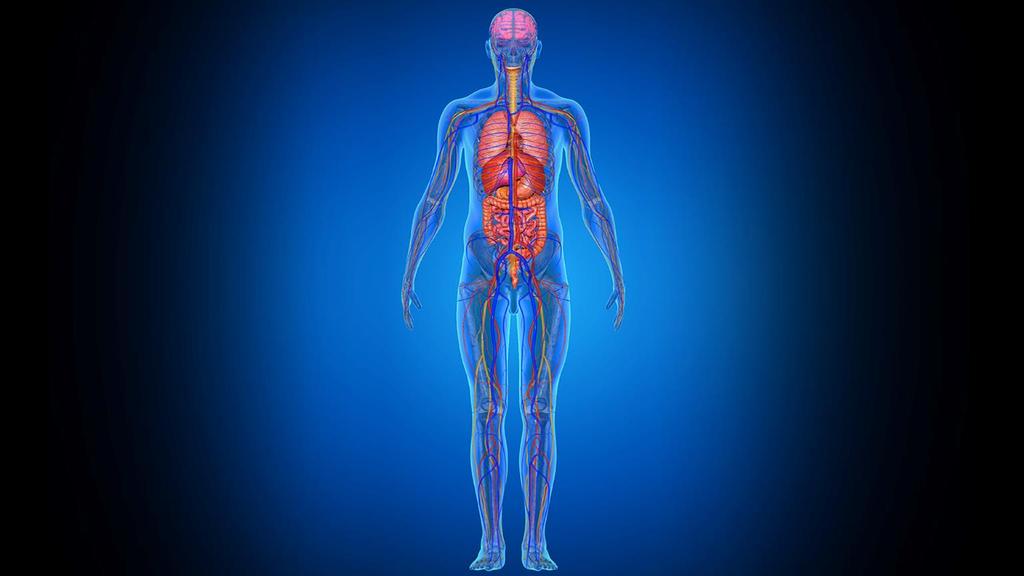 Complicanze Endocrinologiche nei TCE