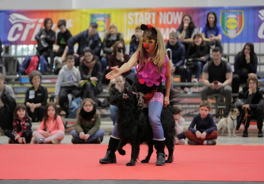 spettacoli sportivi, con un