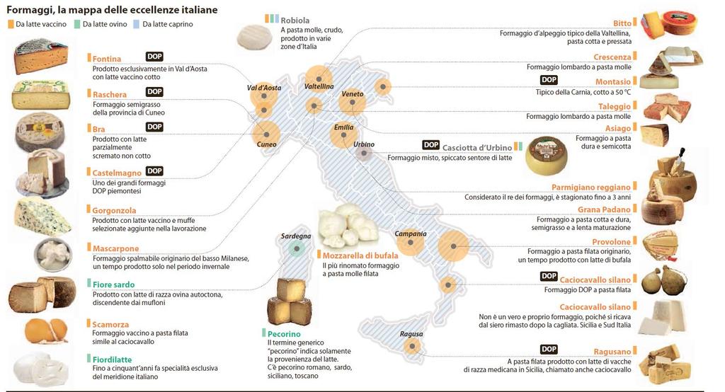 FORMAGGI ASSORTIMENTO,-,aggiornato,al,15.04.2017 TIPO FORNITORE DESCRIZIONE CACIOTTA REL//S.A.S.//DI/LUSARDI//////////////////// CACIOTTA/PANE/Del/PASTORE///////////////////////// GONGORZOLA BIRAGHI/SPA//////// GORGONZ.