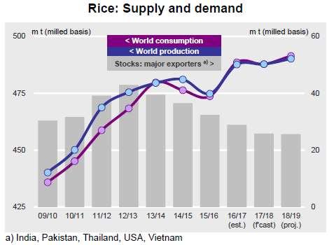 RISO Le previsioni IGC per la campagna 2017-2018 del riso evidenziano un aumento del +0,5%, raggiungendo 490,2 milioni di tonnellate prodotte.