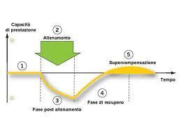 L obiettivo principale dell allenatore è quello di ottimizzare la performance attraverso la somministrazione di una quantità ottimale di