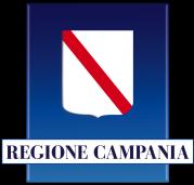 PIANO OSPEDALIERO A) LA STORIA La Regione Campania ha ereditato al giugno 2015 la vigenza del DCA 49/2010 che prevedeva la chiusura di una serie di strutture ospedaliere, senza provvedere a colmare i