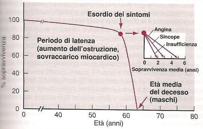 Storia naturale della SA Ross JJ: