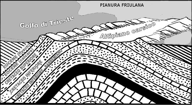 strati di organismi marini si sono accumulati sui bassi fondali di un mare tropicale circa 130