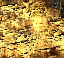 permeabili (Strati di arenaria nei pressi di Muggia) CALCARE roccia sedimentaria di origine