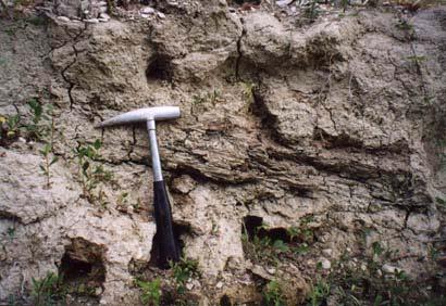 Il secondo passo di indagine lungo il corso del fiume va dall inizio degli abitati di San Michele al Fiume fino ad un mulino in disuso chiamato comunemente molino del Perugino (Figura 13).