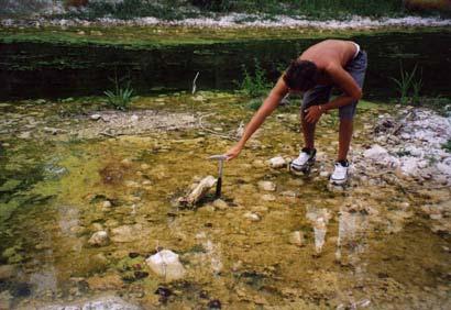 Figura 7: Resti della Foresta Fossile nel sito N 3. Il sito n.4 è ubicato sulla sponda sinistra del fiume proprio di fronte al sentiero che dal parco della vita porta all alveo fluviale.