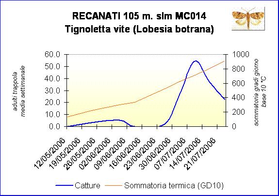 essere così schematizzata: