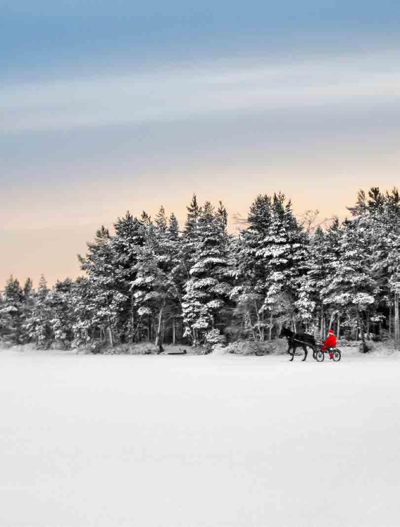 LA FORESTA SEGRETA DI BABBO NATALE JOULUKKA Poco distante da Rovaniemi esiste un luogo magico, un posto nascosto che pochi conoscono, Joulukka, la foresta segreta di Babbo Natale.