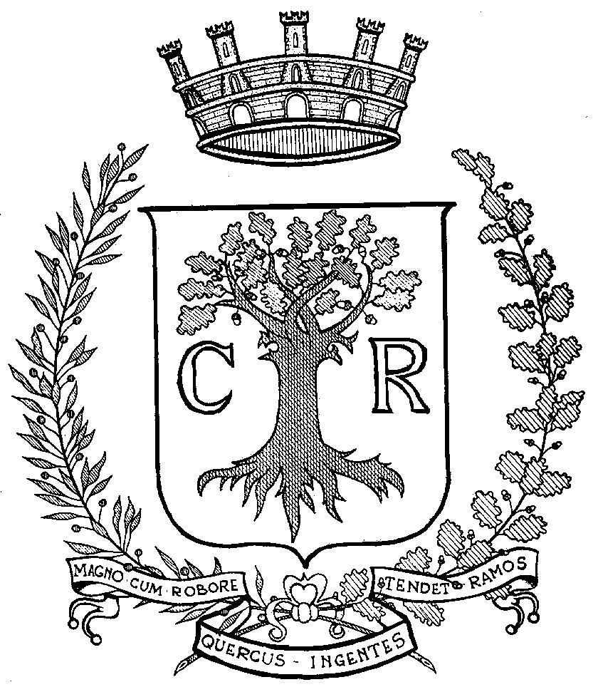 Comune di Rovereto Provincia di Trento REGOLAMENTO PER LA DISCIPLINA DEL SERVIZIO SOCIO-ASSISTENZIALE COMUNALE (AI SENSI DELLA L.P. 12.07.1991, N.