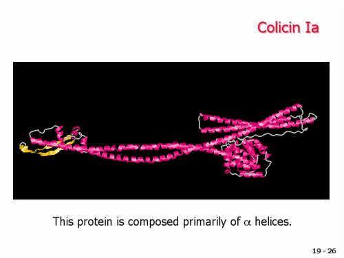 Esempio di proteina composta da alfa eliche