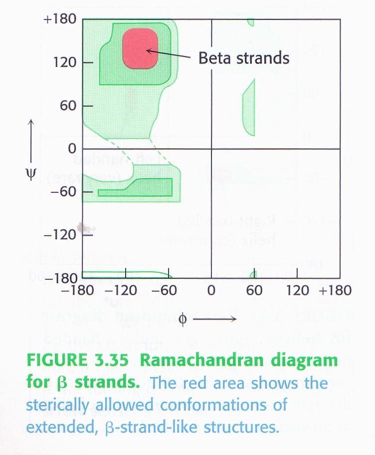 b-sheet