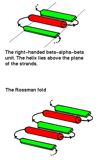 Rossman Fold The