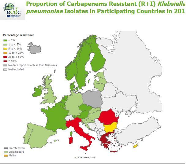 Klebsiella pneumoniae (R+I) in Europa