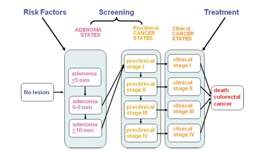 Criteri OMS per screening organizzato: 1. la patologia rappresenta un problema di sanità pubblica 2. storia diagnostica naturale della malattia è ben conosciuta 3.