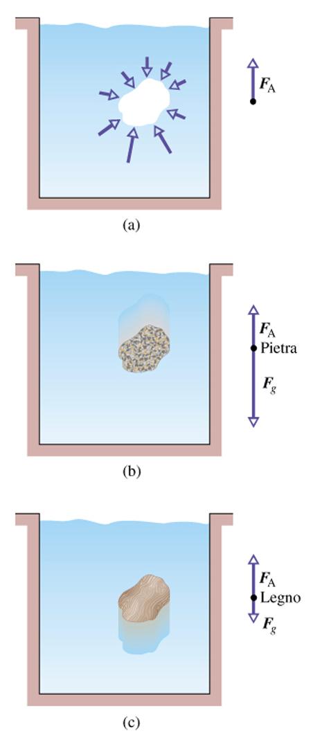 Principio di Archimede Spinta verso l'alto F A = - ρ Vg F R = (ρ' - ρ)vg Se ρ'>ρ, F R ha lo stesso verso di g à il corpo scende Se ρ'<ρ, F R ha verso opposto a g à il corpo sale In ogni caso un corpo